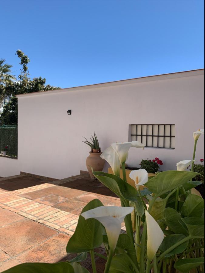 A Estrenar Preciosa Suite-Centrico-Con Jardin Y Porche Торремолінос Екстер'єр фото